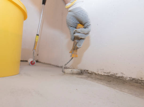 Professional Pest Control in Dunnigan, CA